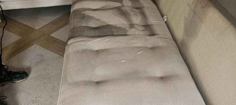 Limpieza de incendios en Málaga, Andalucía